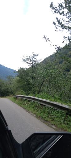 عکس جنگل های دیلمان