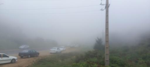 عکس جنگل های دیلمان