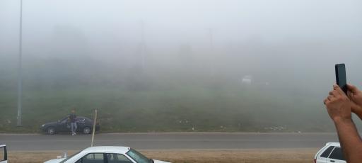 عکس جنگل های دیلمان