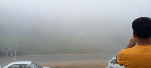 عکس جنگل های دیلمان