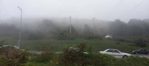 عکس جنگل های دیلمان