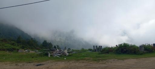 عکس جنگل های دیلمان