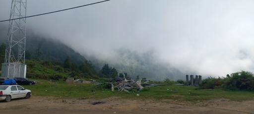 عکس جنگل های دیلمان