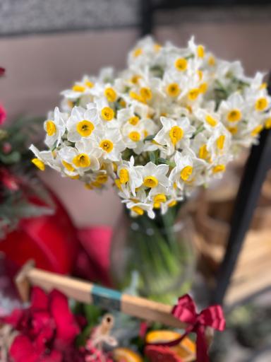 عکس گلفروشی ونوشه