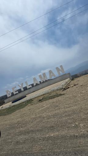 عکس جنگل های دیلمان