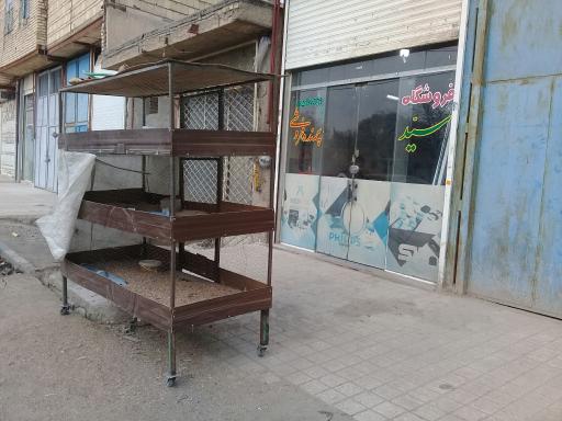 عکس پرنده سرای سید