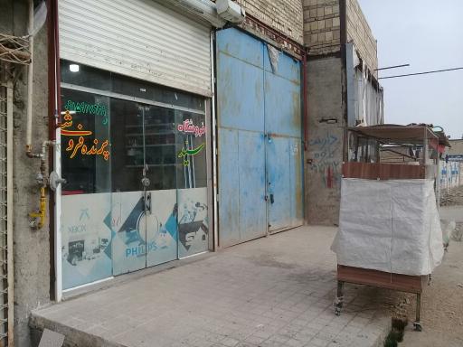 عکس پرنده سرای سید