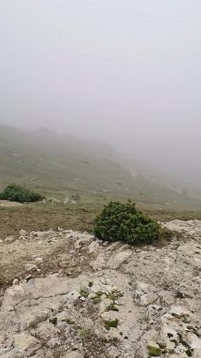 عکس آلاچیق داغلار