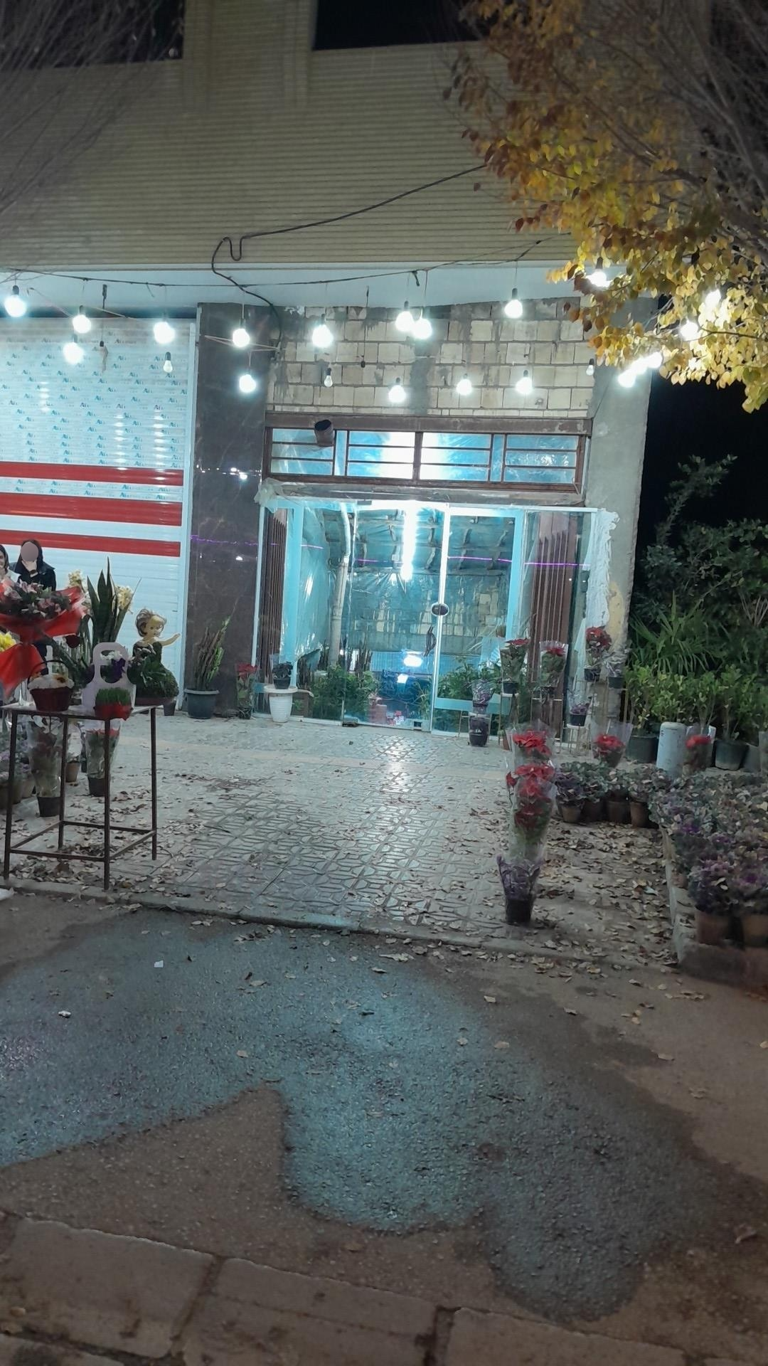 عکس گل مزرعه سپاهان