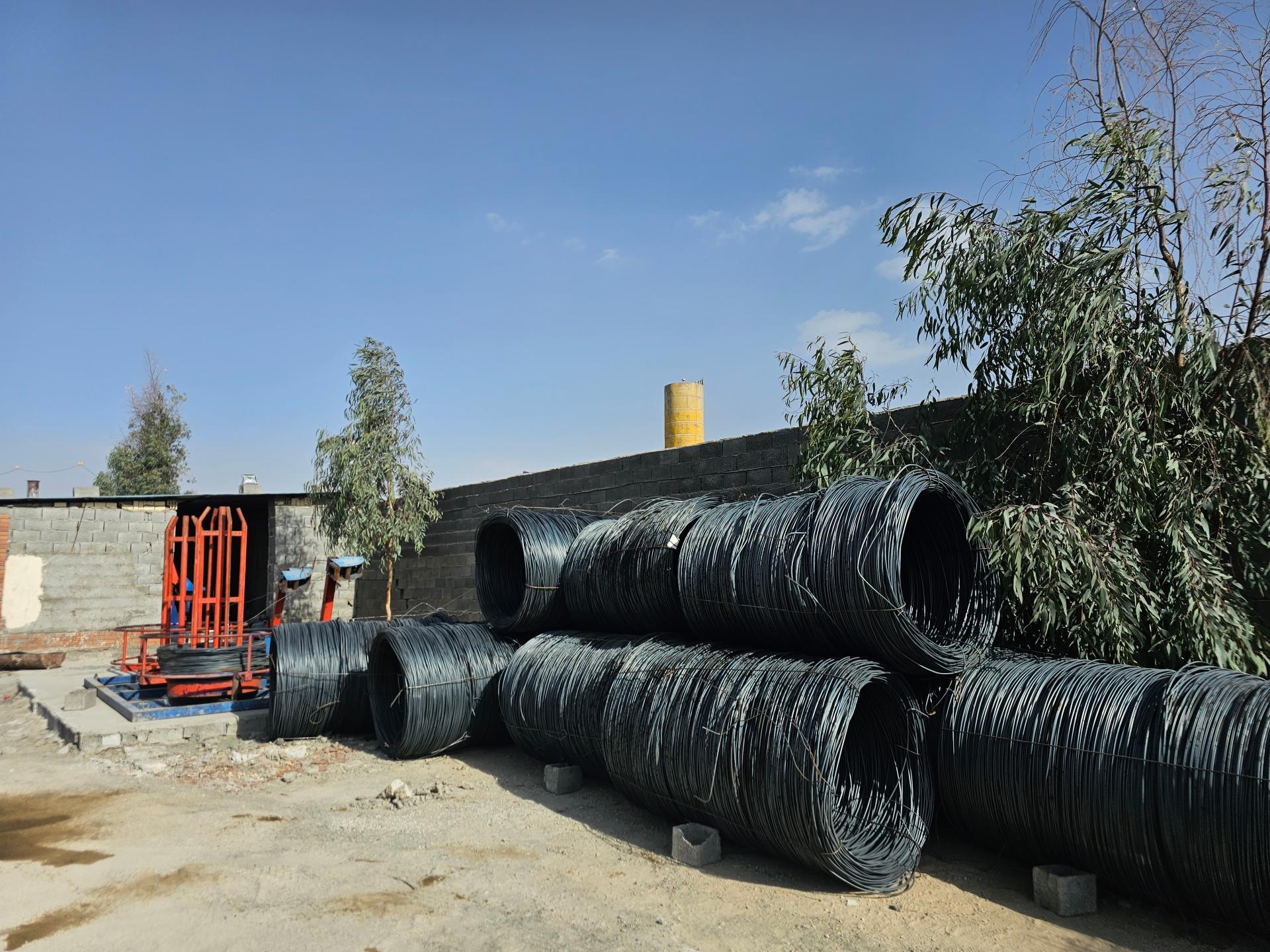 عکس الیاس بتن