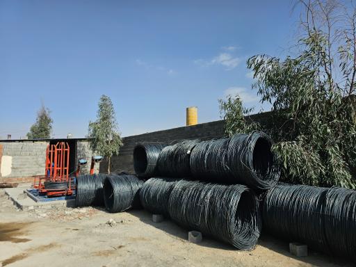 عکس الیاس بتن