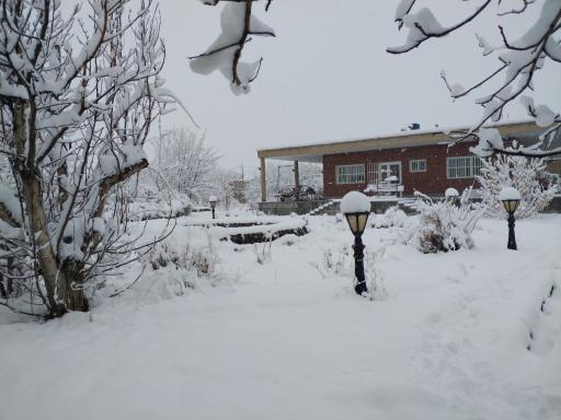 عکس باغ ملی