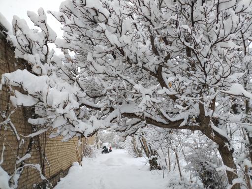 عکس باغ ملی