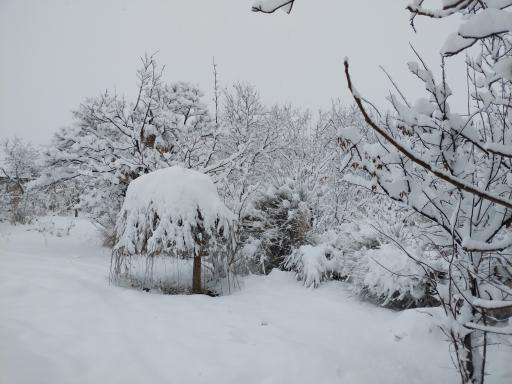 عکس باغ ملی