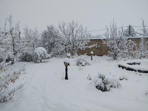 عکس باغ ملی