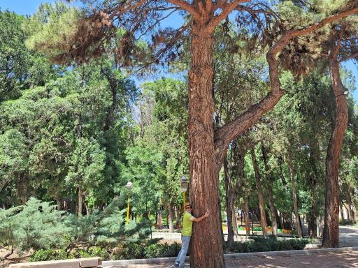 عکس باغ ملی