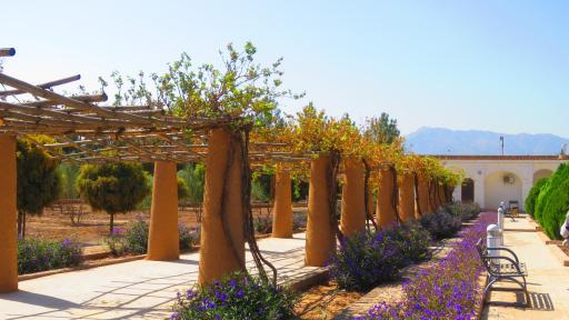 عکس باغ تاریخی فتح آباد