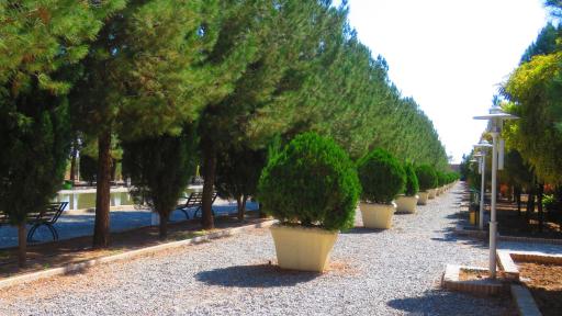 عکس باغ تاریخی فتح آباد