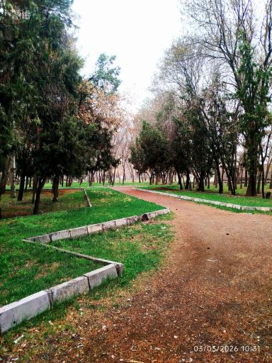 عکس باغ ملی
