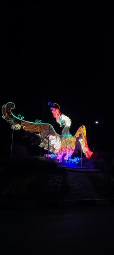 عکس میدان امام علی