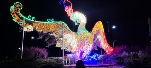 عکس میدان امام علی