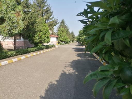 عکس شهرک زیبای شالی سازمان گسترش و نوسازی صنایع ایران