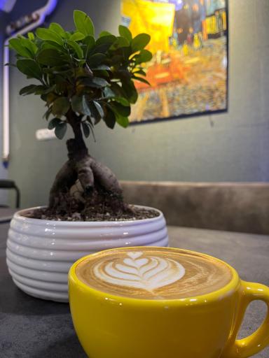 عکس کافه ونگوگ