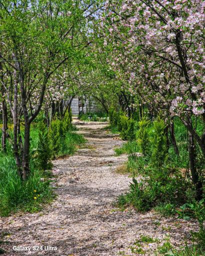 عکس مجتمع تفریحی نگین سربست