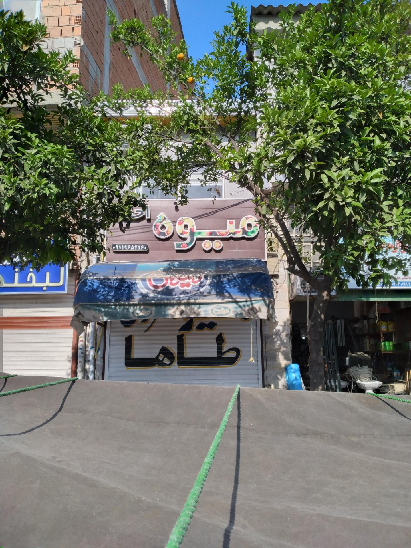 عکس میوه فروشی احمد(طاها)