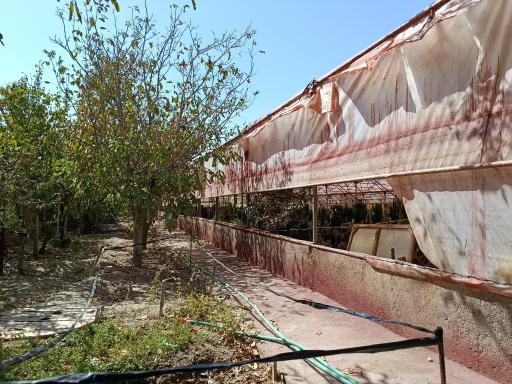 عکس گلخانه ملائک صفت