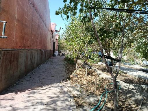 عکس گلخانه ملائک صفت