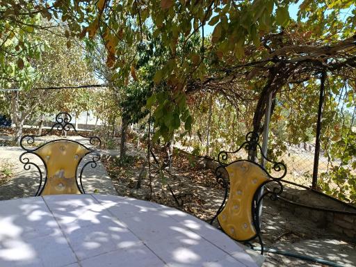 عکس گلخانه ملائک صفت