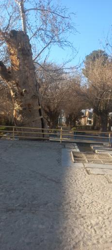 عکس بقعه قدمگاه امام رضا
