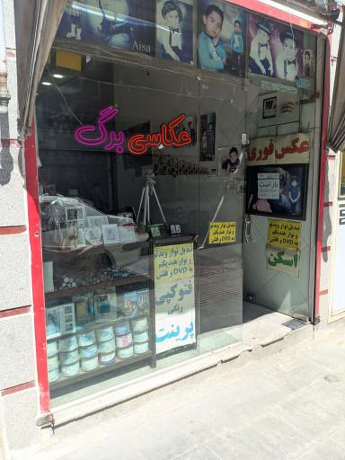 عکس عکاسی برگ