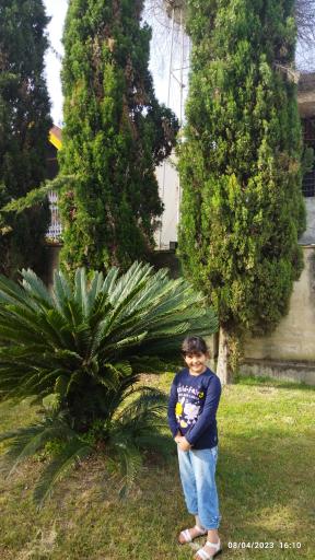 عکس شهرک زیبای شالی سازمان گسترش و نوسازی صنایع ایران