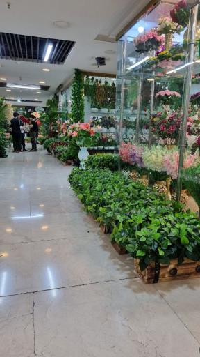 عکس مجتمع تجاری ایرانیان