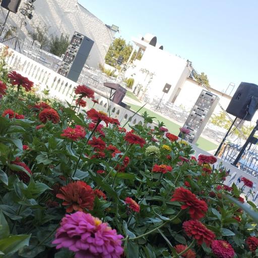 عکس تالار باغ رویال