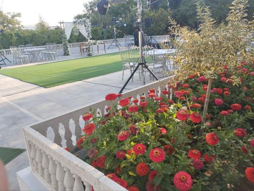 عکس تالار باغ رویال