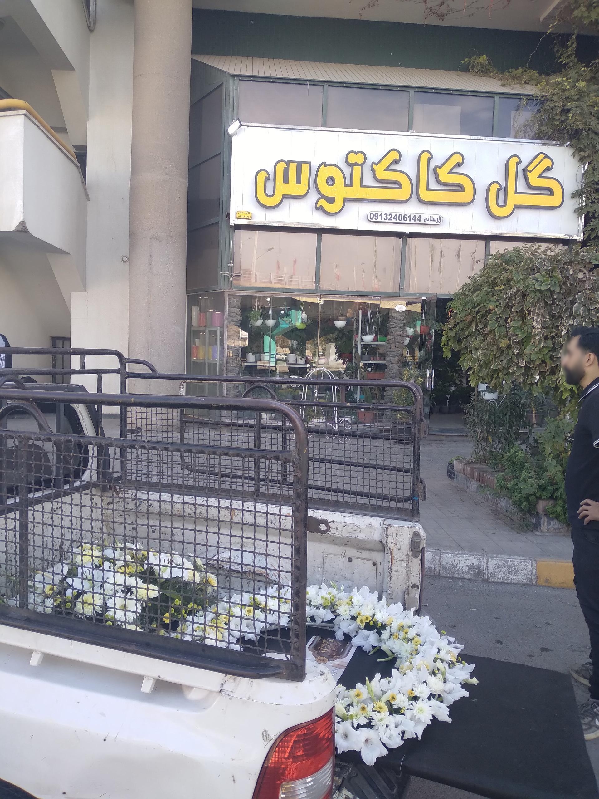 عکس گل کاکتوس