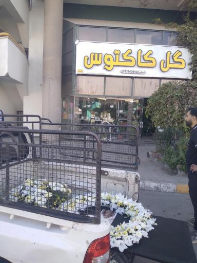 عکس گل کاکتوس