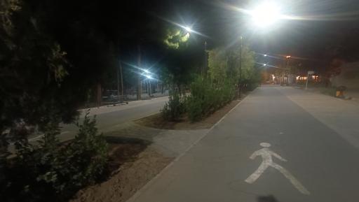 عکس پارک توحید