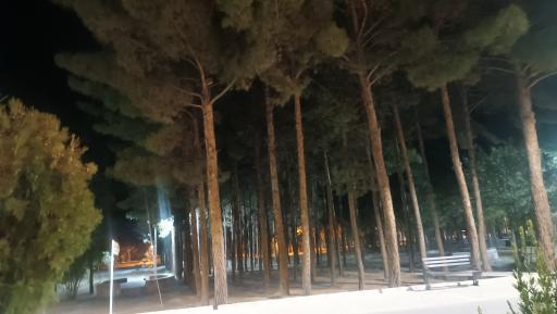 عکس پارک توحید