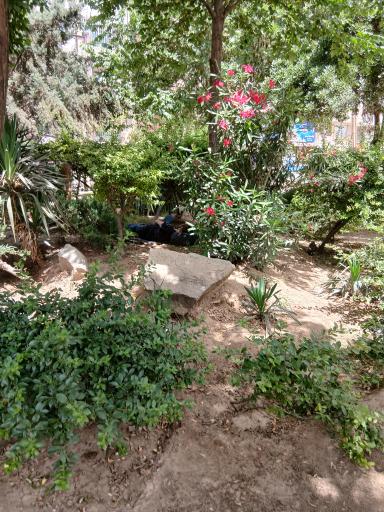 عکس پارک ولیعصر