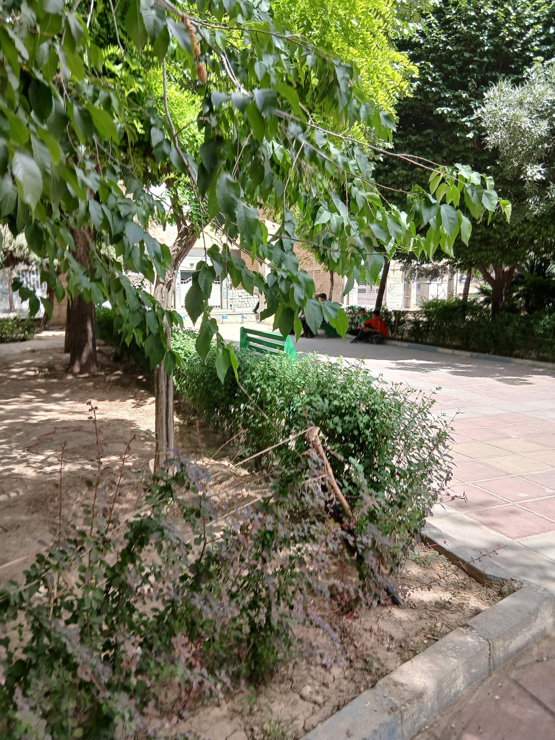 عکس پارک ولیعصر