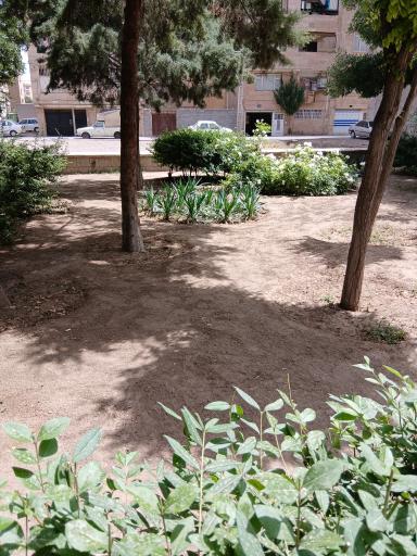 پارک ولیعصر