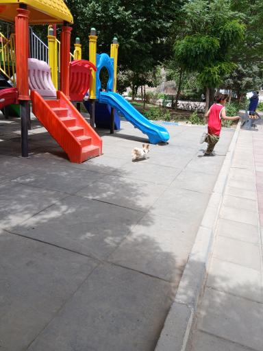 عکس پارک ولیعصر