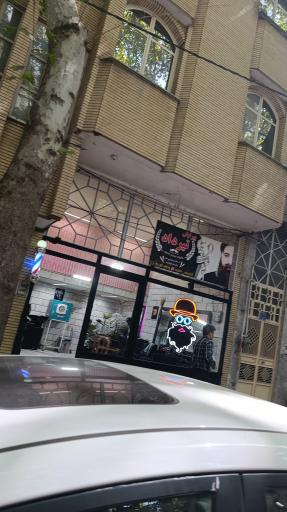 عکس پیرایش تیرداد