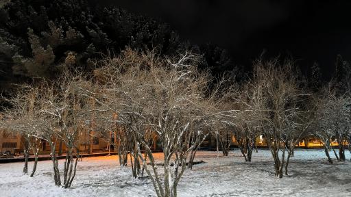 عکس پارک توحید