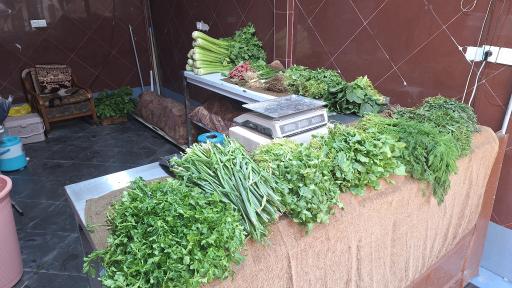 عکس سبزی تازه ابریشم