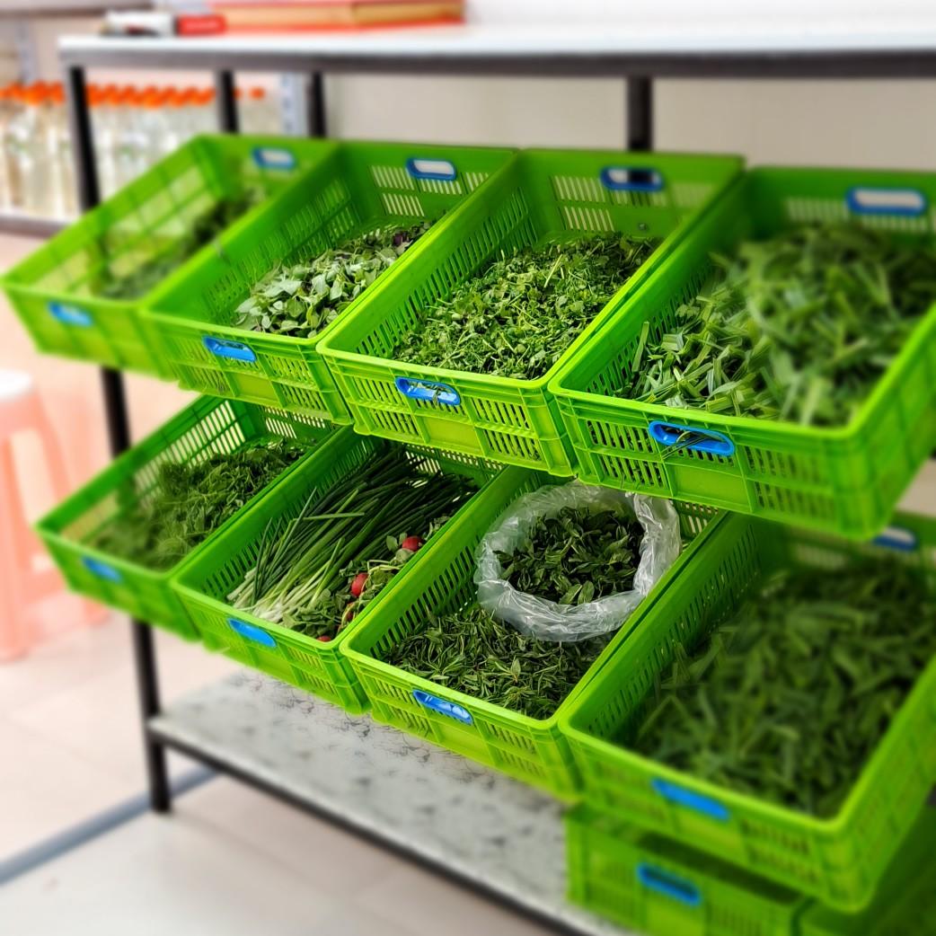 عکس سبزمارکت آنا